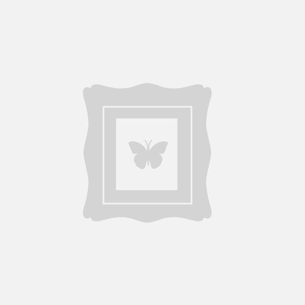 [Esimerkki] Kehystetty perhosmaalaus